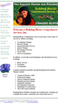 Mobile Screenshot of buildingblockspediatrictherapy.com